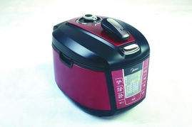 2010年度消費(fèi)者最喜愛的小家電產(chǎn)品盤點(diǎn)